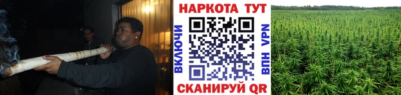 Где купить наркоту Лобня Cocaine  A PVP  Галлюциногенные грибы  Меф мяу мяу  Бошки Шишки 