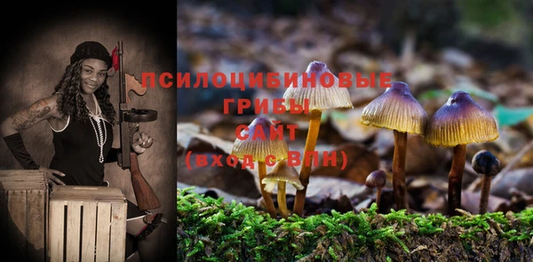 mdpv Ладушкин