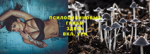 дурь Лагань