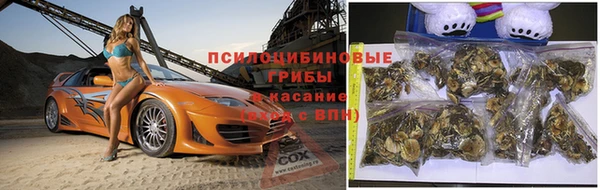 спиды Лабытнанги