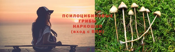 гашик Кукмор