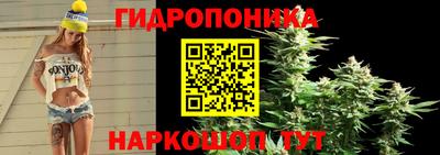 mdpv Чапаевск