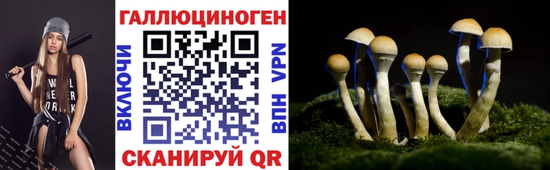 цена   Лобня  Псилоцибиновые грибы MAGIC MUSHROOMS 