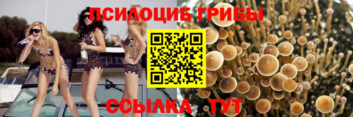 Галлюциногенные грибы Magic Shrooms  Вход с VPN  Лобня 